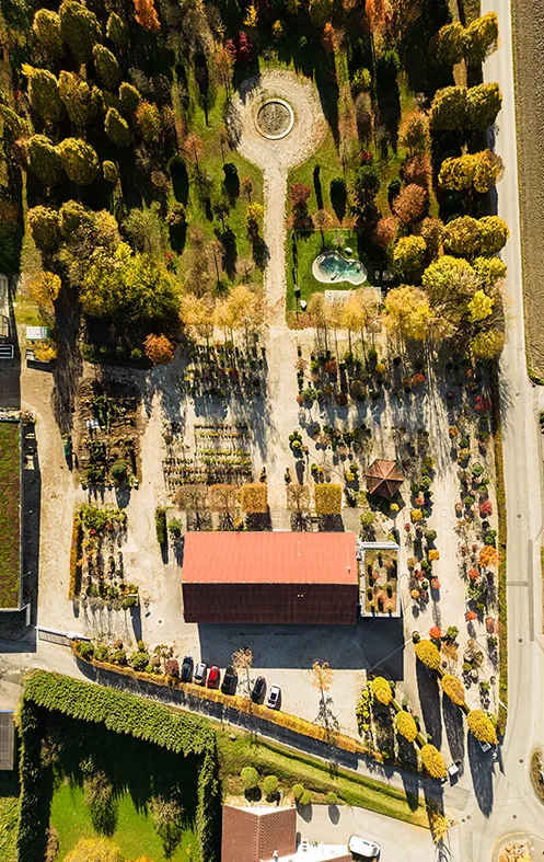 Luftbild des Baumparks mit Wegen, Pflanzflächen und rotem Betriebsgebäude