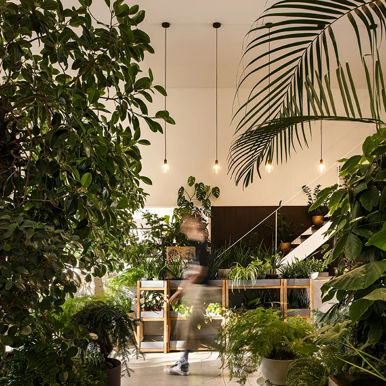 Jungle-Café mit vielen Grünpflanzen und Holzmöbeln