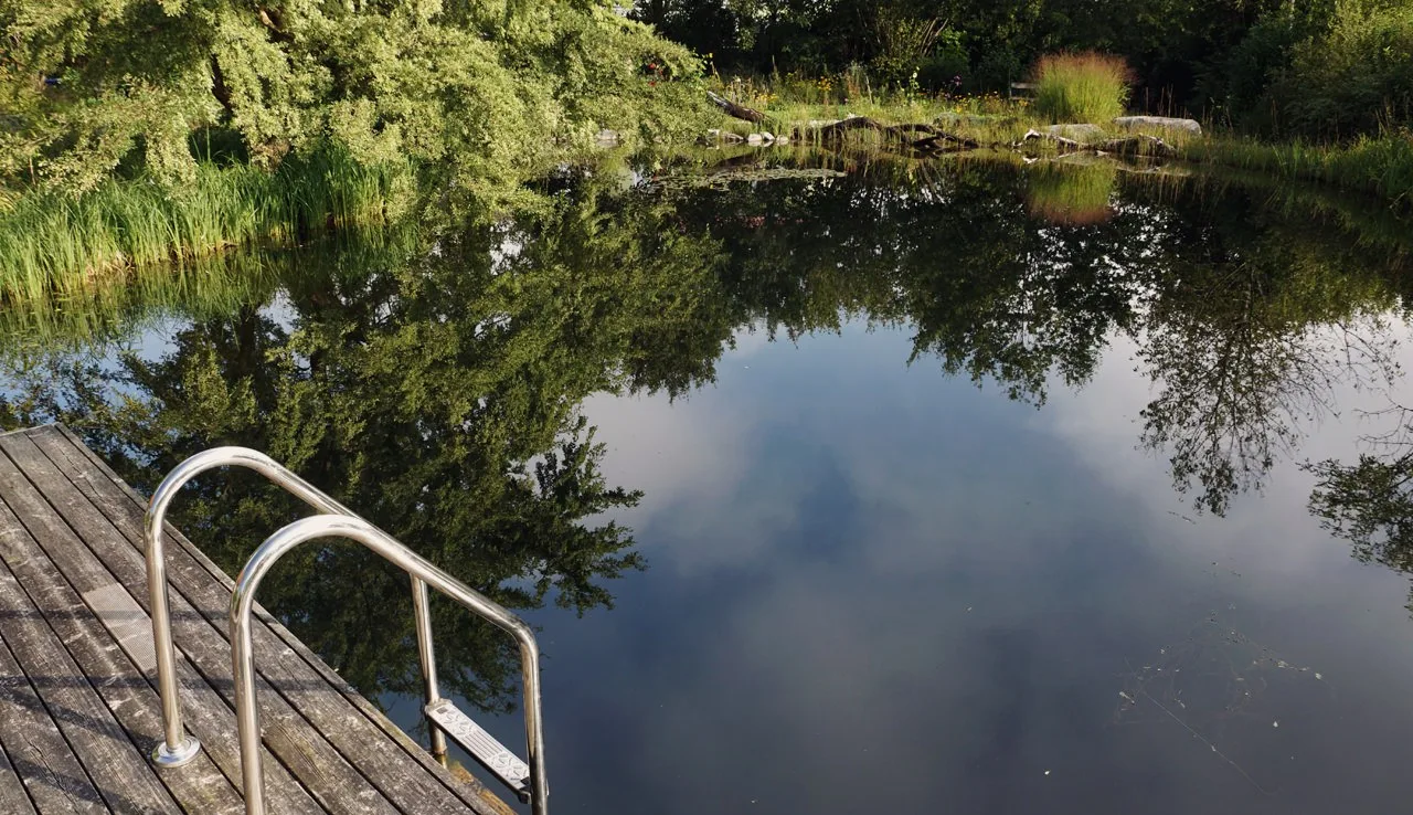 Naturteich mit Badeleiter am Holzsteg, im Wasser spiegeln sich die Wolken