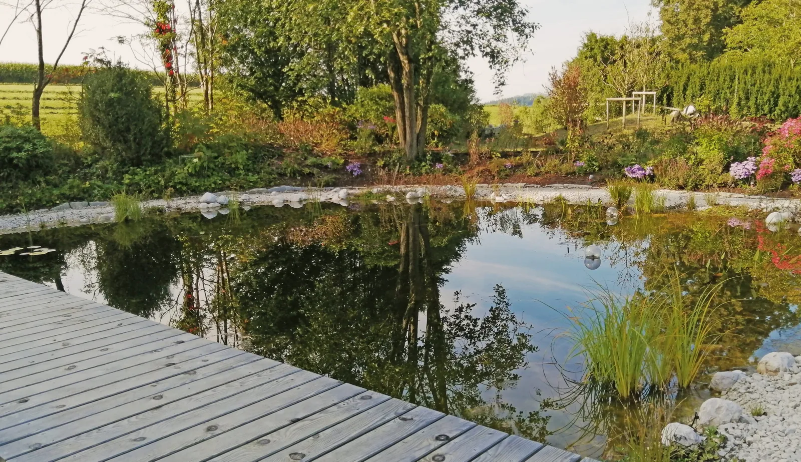 Schwimmteich mit Holzdeck und blühenden Stauden am Ufer