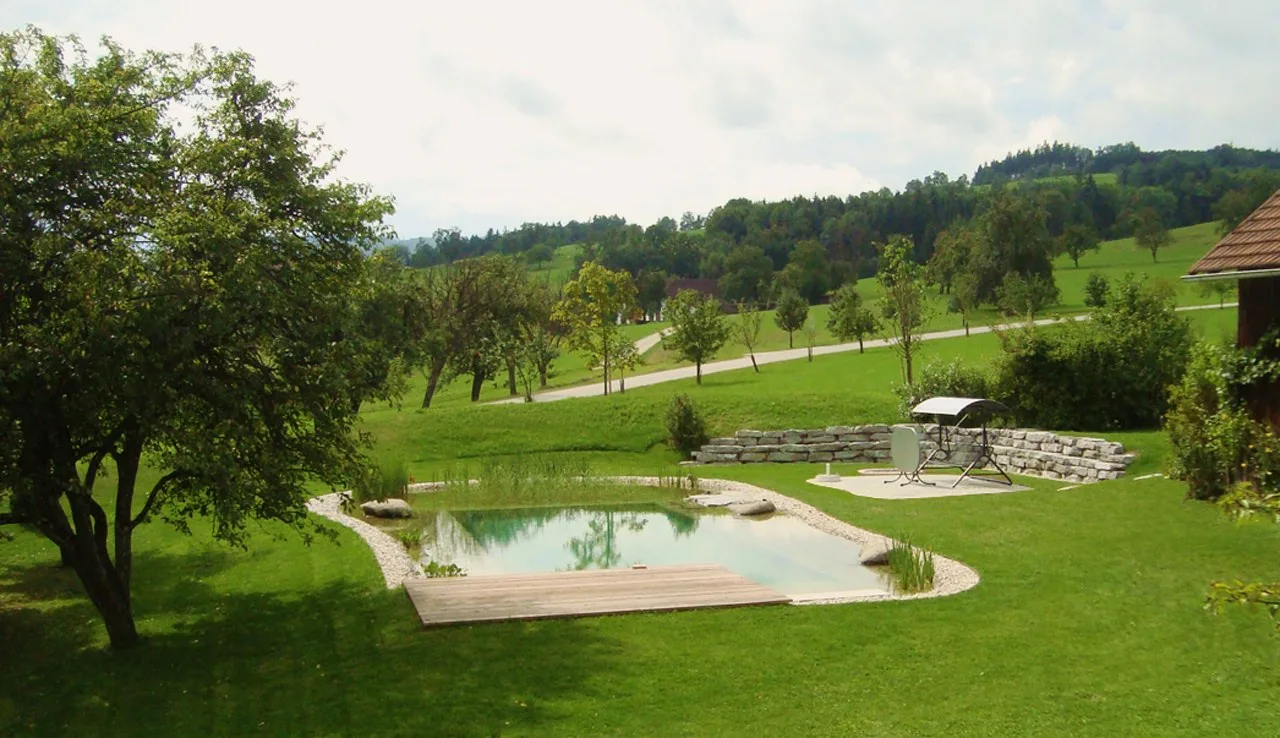 Schwimmteich mit Holzdeck in einer Wiesenlandschaft am Hang